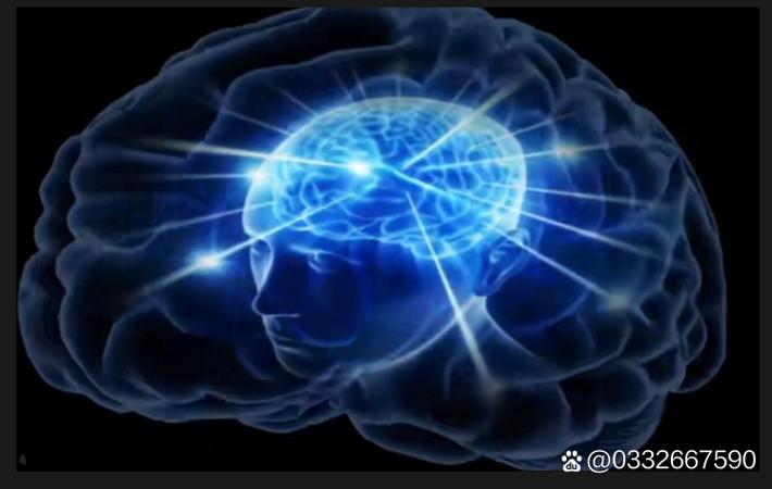 顶级流量塌房！多名粉丝实名举报其私下行为与人设严重不符